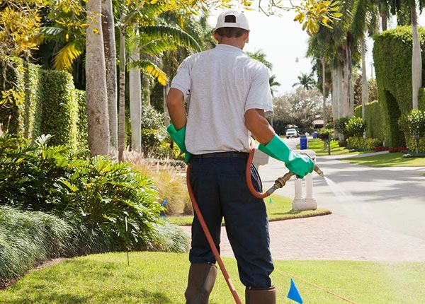 About Orange City FL Pest Control